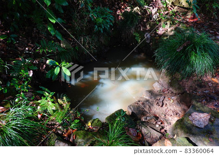 Takarago Pond 83360064