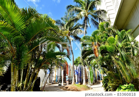 夏威夷的假期 83360818