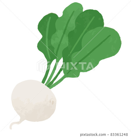 手寫蘿蔔插畫素材鈴奈農產品蔬菜 83361248