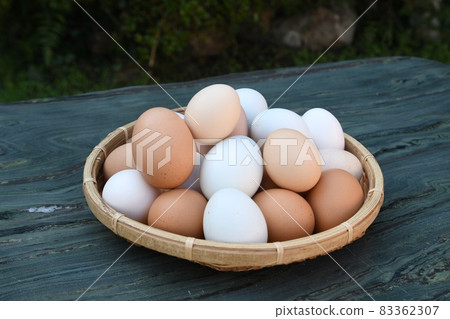 Freshly laid eggs: Silkie chicken: Araucana Freshly laid eggs: Silkie chicken: Araucana 83362307