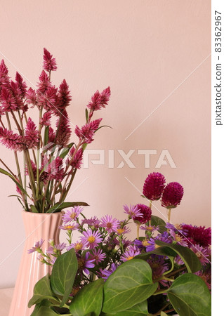 Flowers of Keito Flowers of Keito 83362967