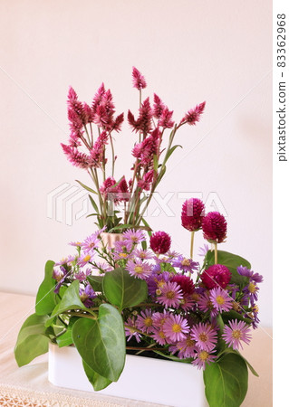 Flowers of Keito 83362968