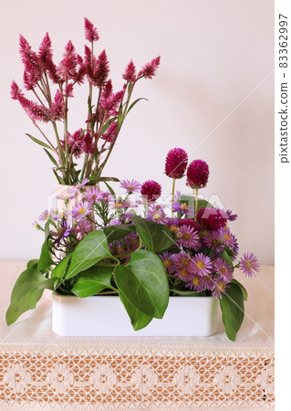 Keito的花 83362997