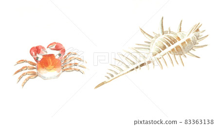 水彩：螃蟹和骨殼 83363138
