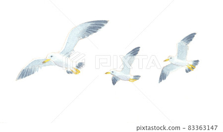 Watercolor: Parent-child seagull 83363147