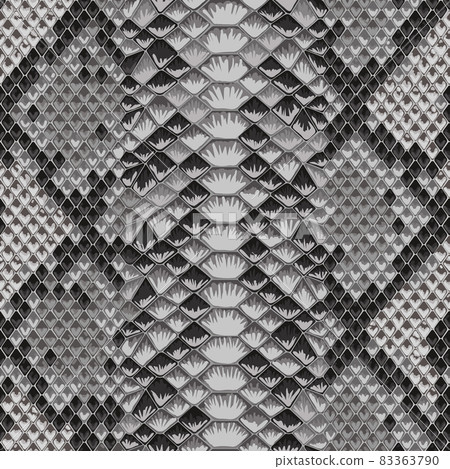 Snake Skin Colorful Animal Gray Seamless Pattern 83363790
