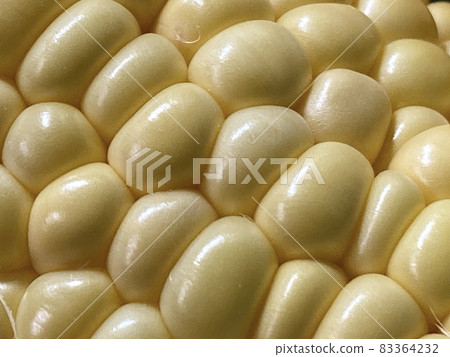 Corn Corn 83364232