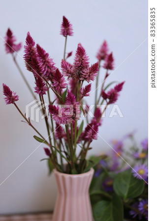 Keito的花 83365835