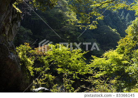Okutama Okutama 83366145