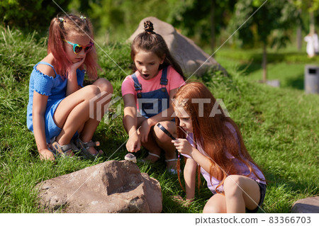 little kids look at hedgehog using magnifier little kids look at hedgehog using magnifier 83366703