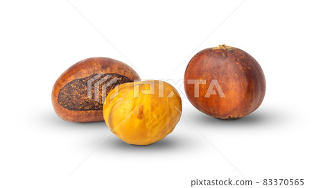 Brown chestnut on a white background. 83370565