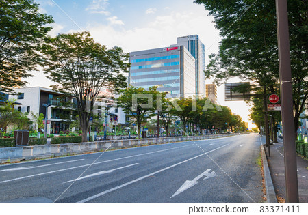 仙台宮城通晨景 83371411