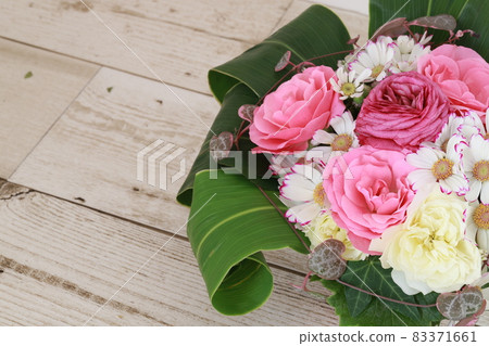 安排花 安排花 83371661