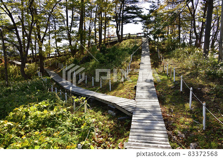 拍攝北海道豐浦町國家指定風景名勝區鹿岡皮里卡神社歷史公園風光 83372568