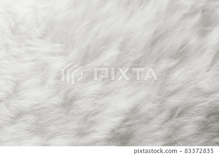 natural white fur background 83372835