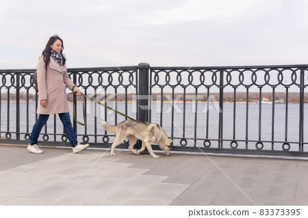 young woman with a husky dog walks along the embankment in an autumn day 83373395