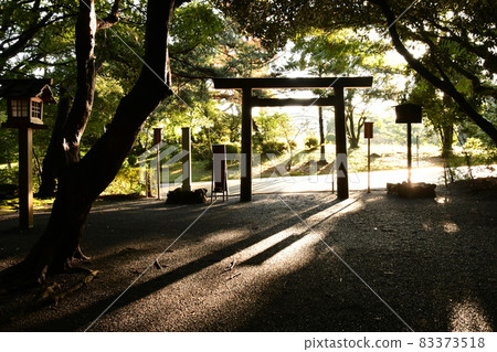 Morning Himemiya Morning Himemiya 83373518