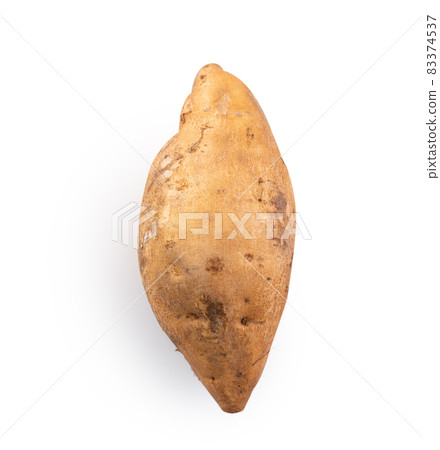 地瓜 番薯 蕃薯 去背 裁剪路徑 sweet potato isolated サツマイモ 切り抜き 83374537