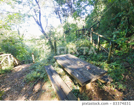 Resting place in the forest 83374831