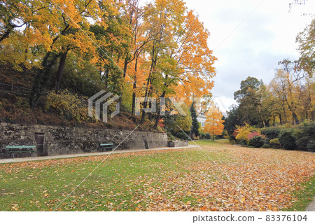 Autumn leaves and trees in the park Autumn leaves and trees in the park 83376104