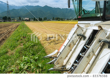 Scenery of rice harvesting [Azumino] 83376388