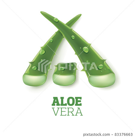 fresh aloe vera with drops of health juice	 83376663
