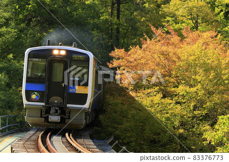 Koyama Line of autumn leaves Koyama Line of autumn leaves 83376773