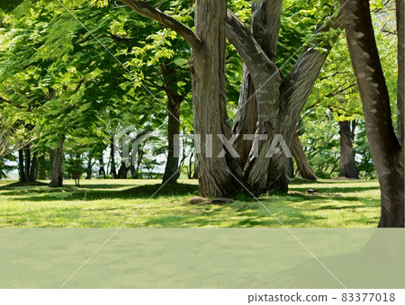 Nature Forest Spring Postcard Postcard Nature Forest Spring Postcard Postcard 83377018