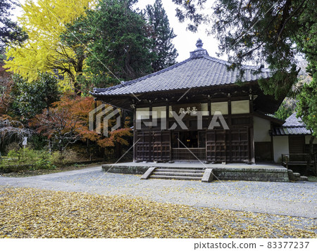 北鎌倉 / 淨智寺正殿(久美殿)和紅葉 北鎌倉 / 淨智寺正殿(久美殿)和紅葉 83377237