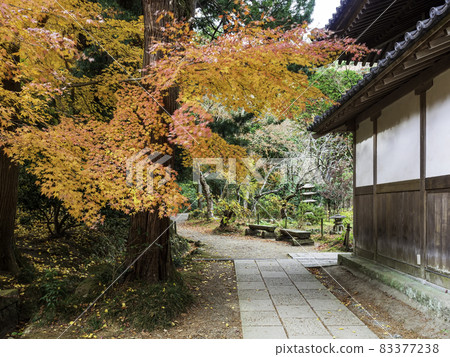北鎌倉城池寺院內的紅葉 83377238