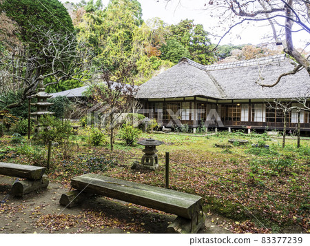 北鎌倉 / 淨智寺松陰和紅葉 83377239