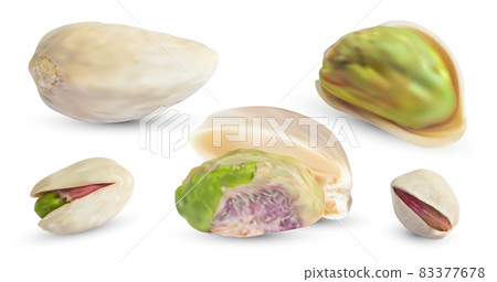 Vector pistachios nuts and dry shell. Realistic 3d kernel. Salted pistachio isolated on white background. Vector pistachios nuts and dry shell. Realistic 3d kernel. Salted pistachio isolated on white background. 83377678