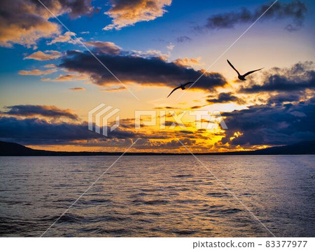 佐渡汽泉的日落 83377977