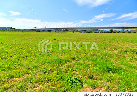 Inagi Ohashi / Tama River downstream / Fuchu City side (Fuchu City, Tokyo) [2021.10] 83378325