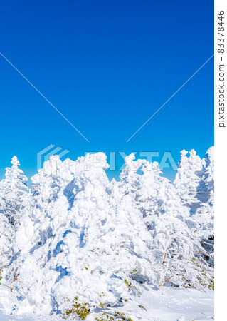 [Winter material] Rime and blue sky of Kitayokodake [Nagano Prefecture] 83378446