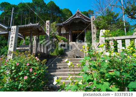 德島縣德島市入田清天寺地正院紅白扶陽藍天 德島縣德島市入田清天寺地正院紅白扶陽藍天 83378519