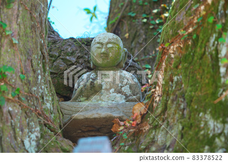 [四國88寺]德島縣德島市常樂寺14號新良木大師 83378522