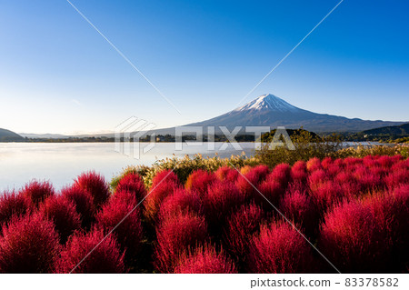Koguchi和富士山在河口湖大石公園 83378582
