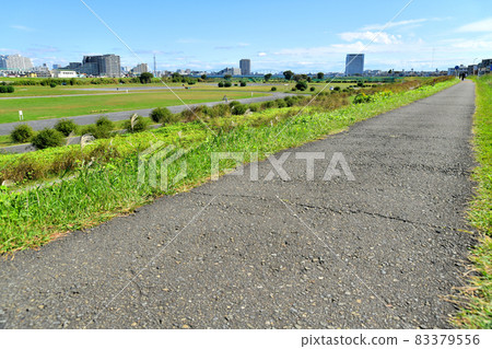 View toward the lower reaches of the Tama River from the vicinity of Furuichiba Elementary School (Kawasaki City, Kanagawa Prefecture) [2021.10] 83379556