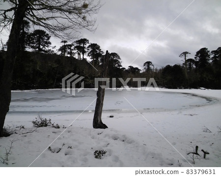 Frozen lake on the mountain at Reserva El Cani, Pucon, Chile, during the winter 83379631
