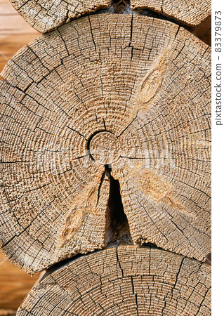 The texture of the tree on the cut of a log 83379873