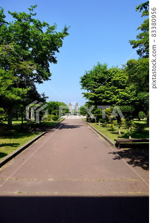 Morimachi Oniushi Park 83380956