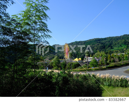德島遊樂園和毛竹竹林 德島遊樂園和毛竹竹林 83382667