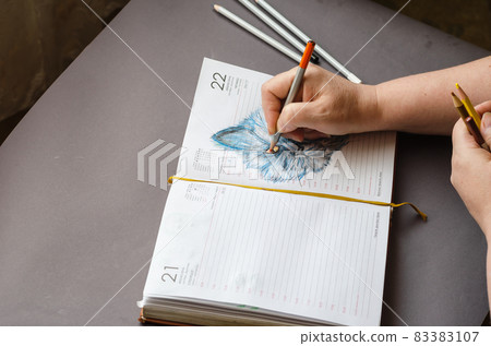 Adult Woman draws a cat in colored pencils on the pages of an op 83383107
