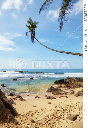 Beautiful tropical sandy beach with rocks, Sri Lanka. Beautiful tropical sandy beach with rocks, Sri Lanka. 83383929