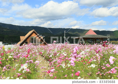 Kitafusa Cosmos Square 2 Kitafusa Cosmos Square 2 83385688