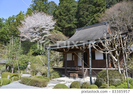 Spring Jakkoin Main Hall Ohara, Sakyo-ku, 京都 83385957