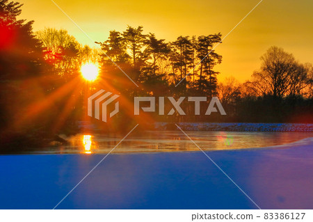 Frozen pond and Asahi 83386127