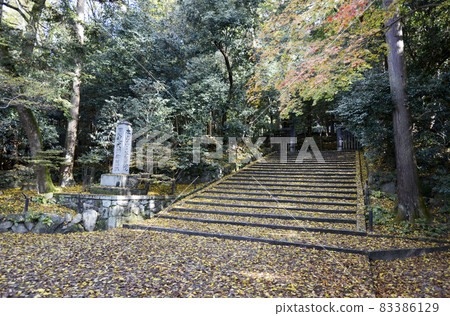 Fallen leaves at the entrance to Honen-in Temple, Shishigadani, Sakyo-ku, Kyoto Fallen leaves at the entrance to Honen-in Temple, Shishigadani, Sakyo-ku, Kyoto 83386129