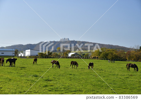 Photographing the scenery of a ranch where horses are grazing in Toyako Town, Hokkaido in autumn Photographing the scenery of a ranch where horses are grazing in Toyako Town, Hokkaido in autumn 83386569